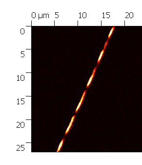 Fig. 2: NSOM measurement of light  propagating in our LR-DLSPPW